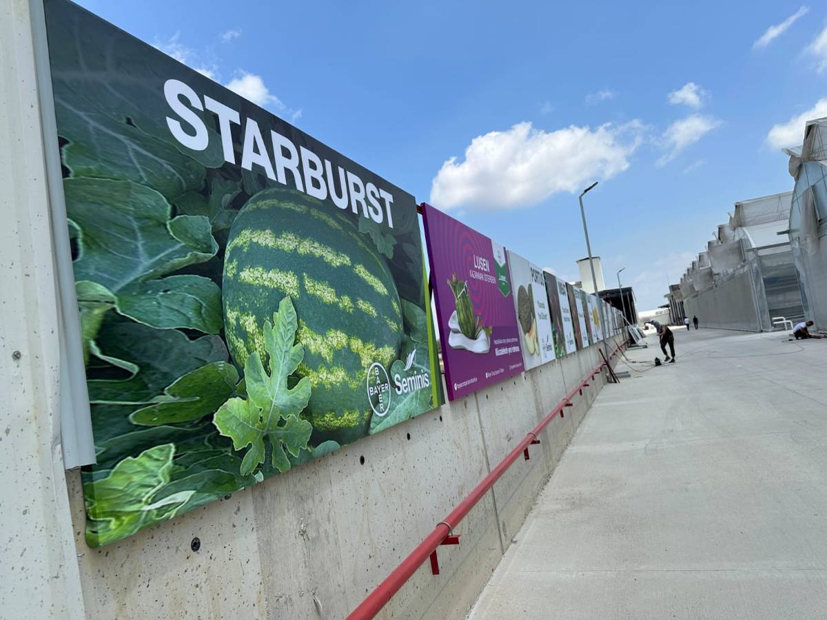 PARAPET VİNİL GERME (2)